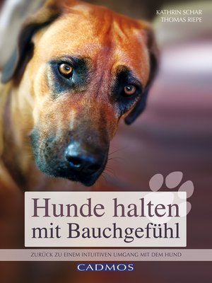 cover image of Hunde halten mit Bauchgefühl